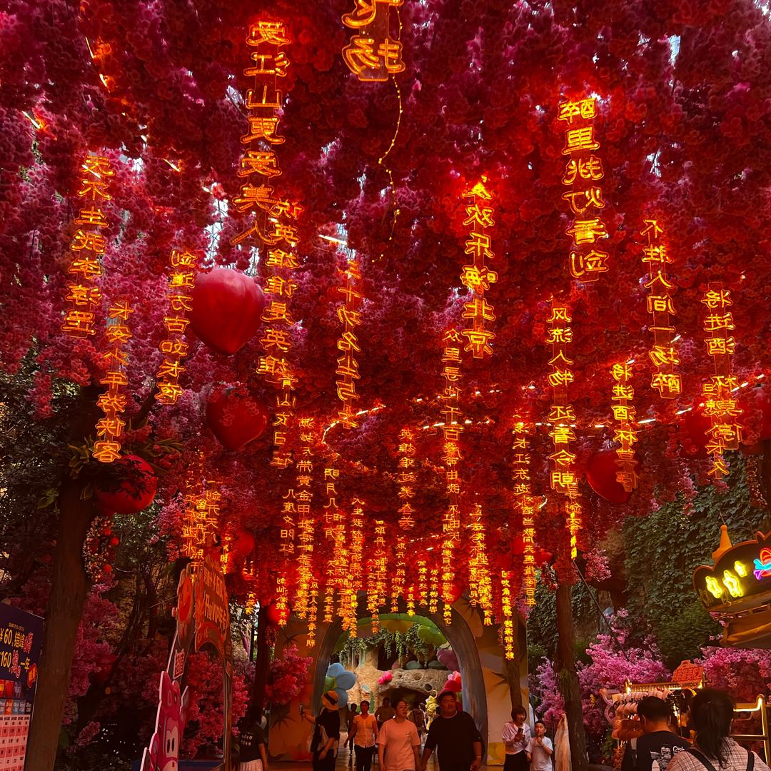 ღ᭄💞张张自喜໑ຼ₀₂4💕梅