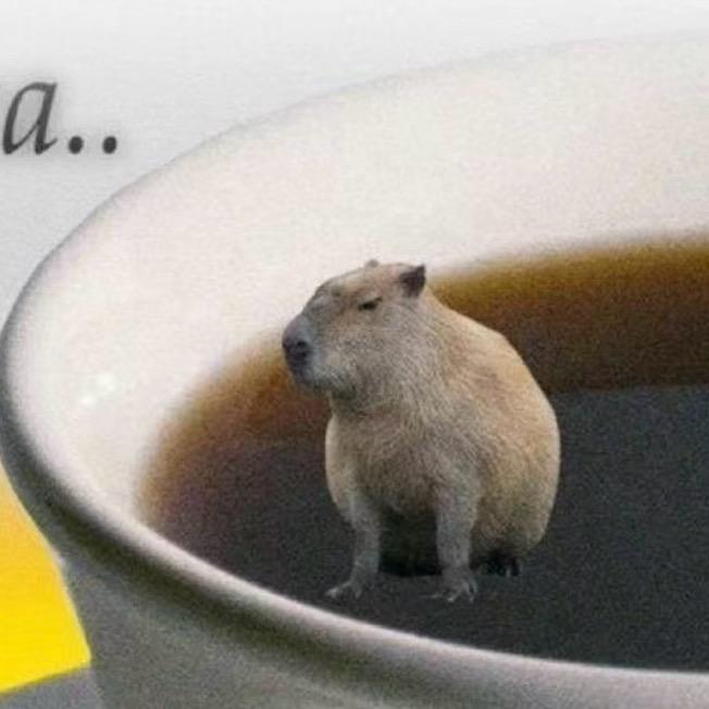 Mocha Cat Coffee