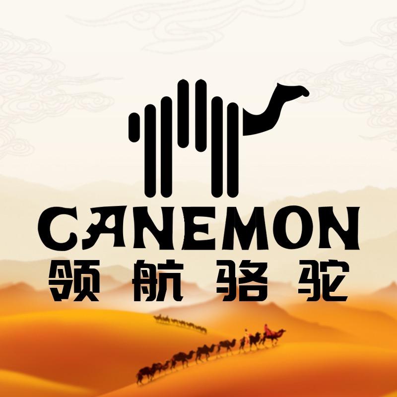 领航骆驼达弗专柜