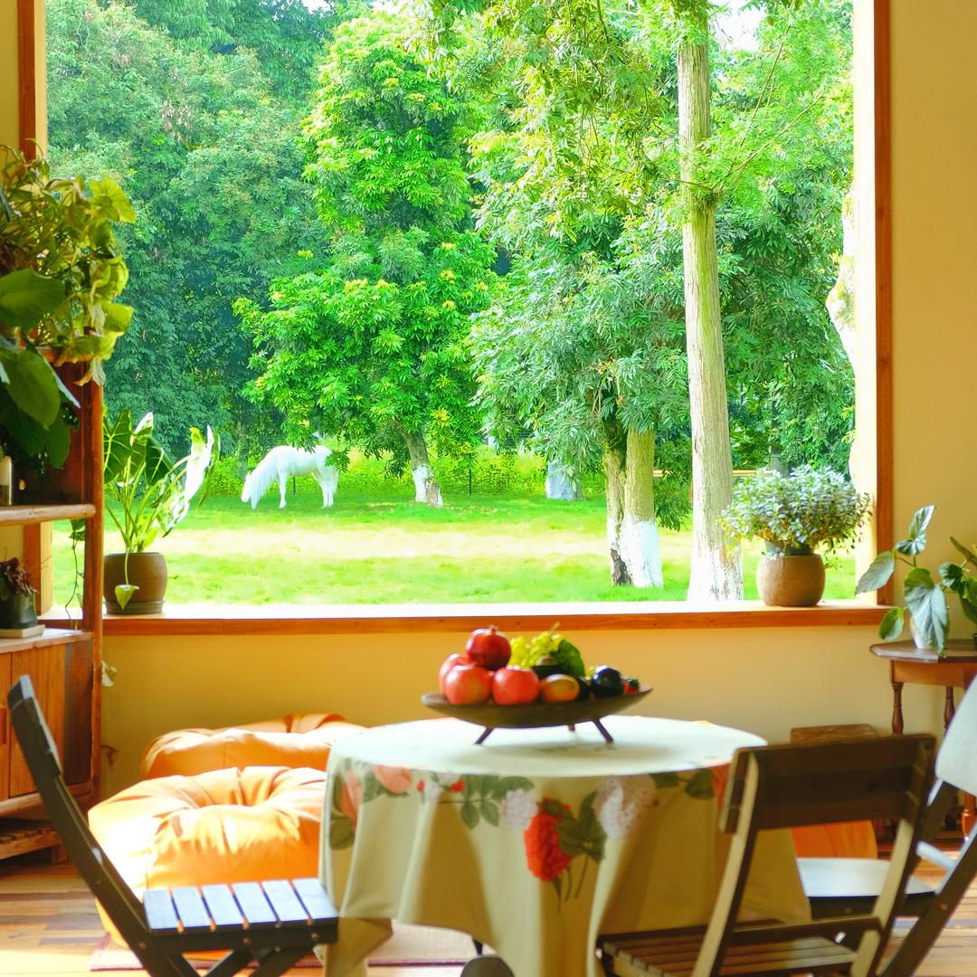 泸州森屿集营地