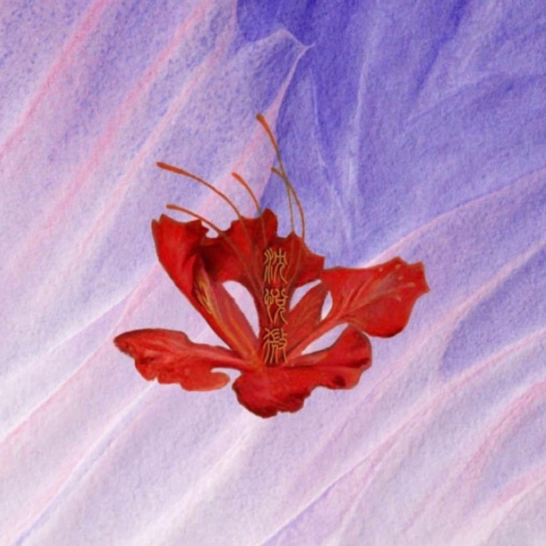 沈悦微v