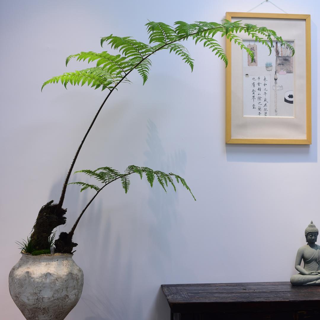 漳州有间花店供应链有限公司