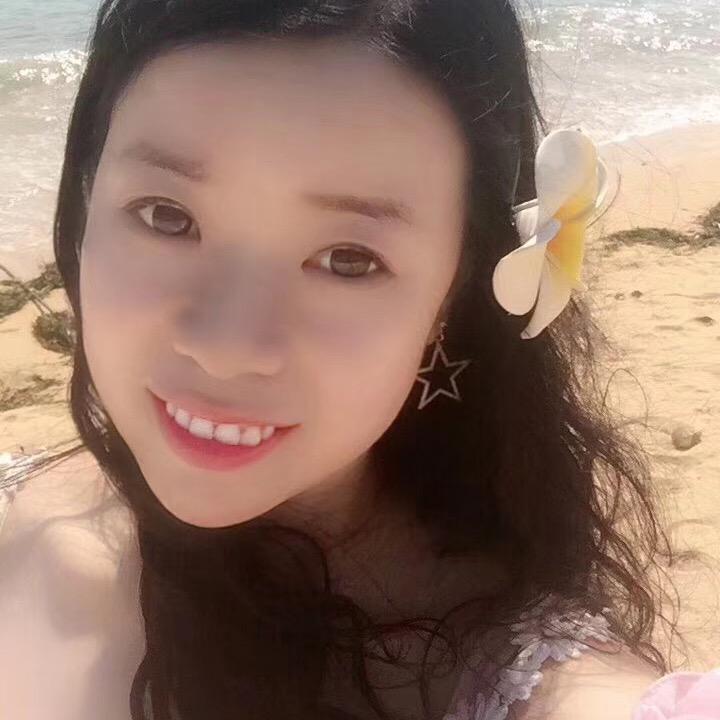 沙发上的小蓝猫