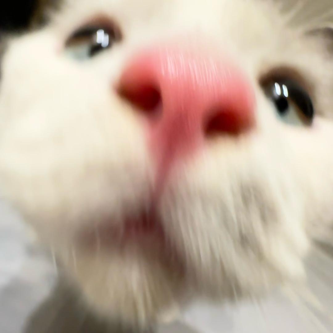 妮 妮