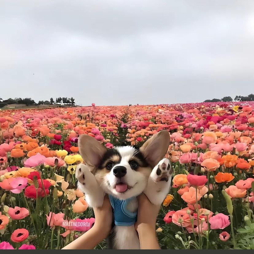 ੭