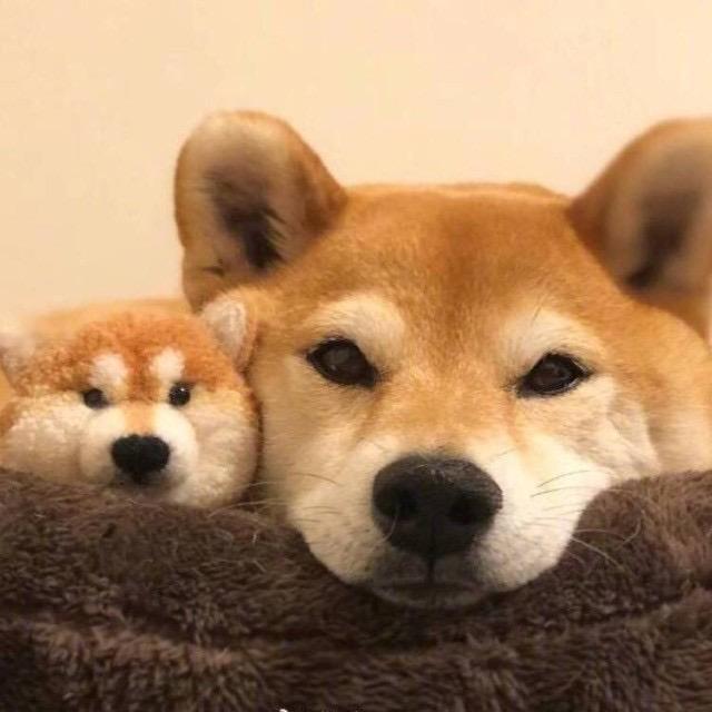叫哥