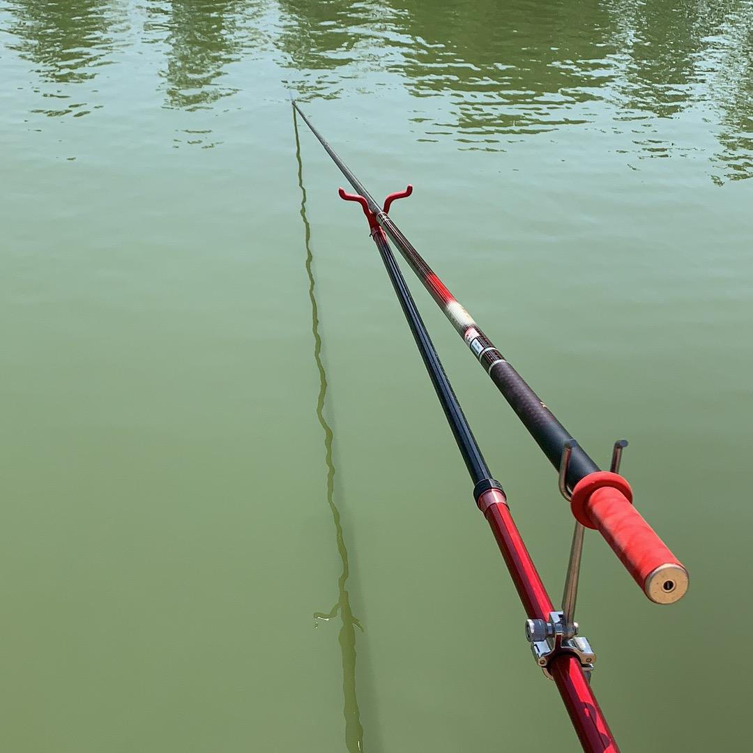 没事钓钓鱼🐟
