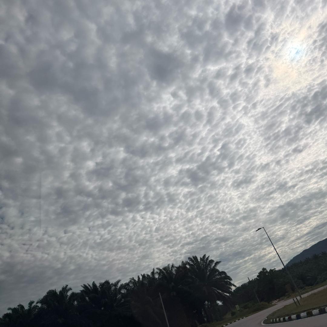 ❤️December十二月❤️