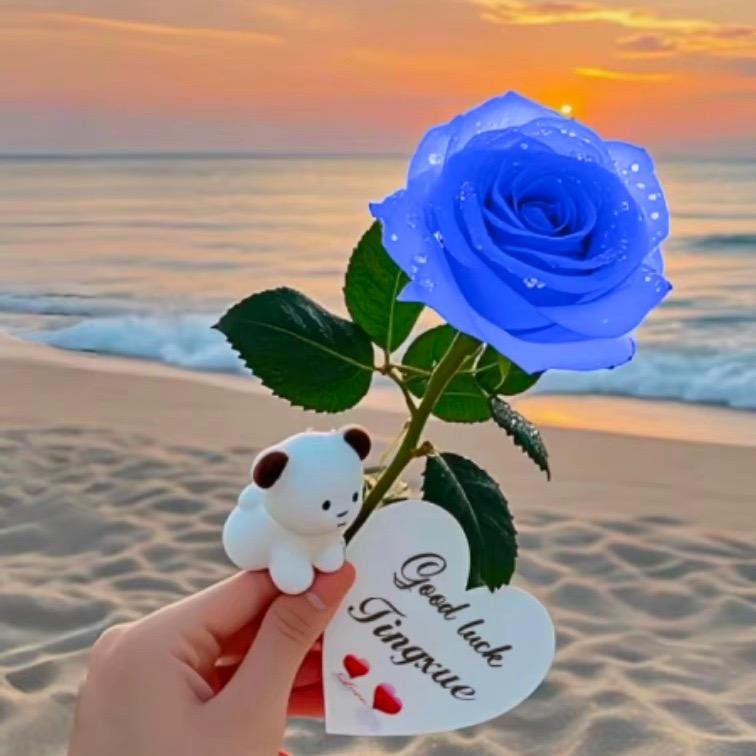 ❤️名扬布艺🍒