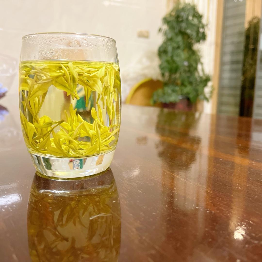 安吉溪龙月国茶场