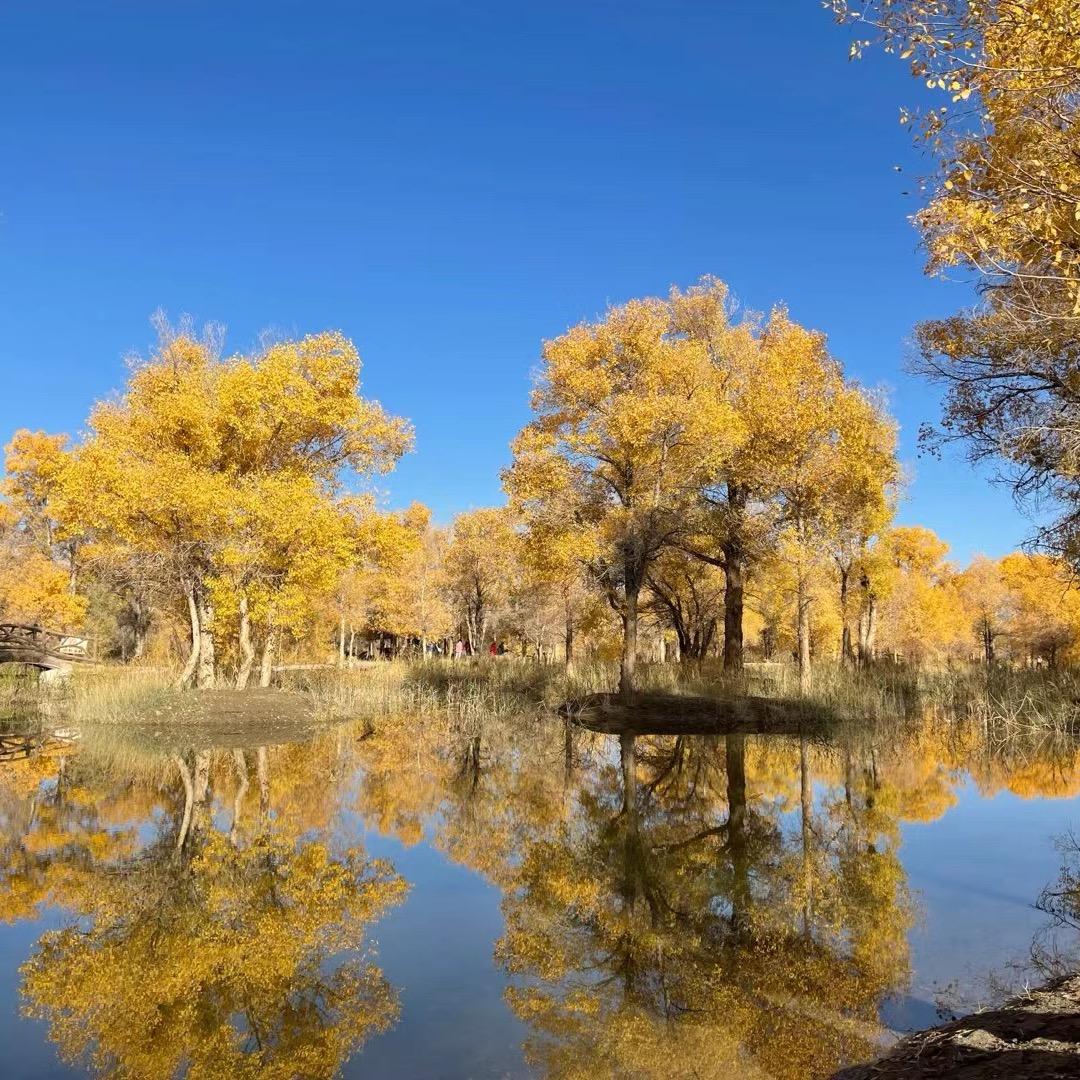 邓邓身材管理师