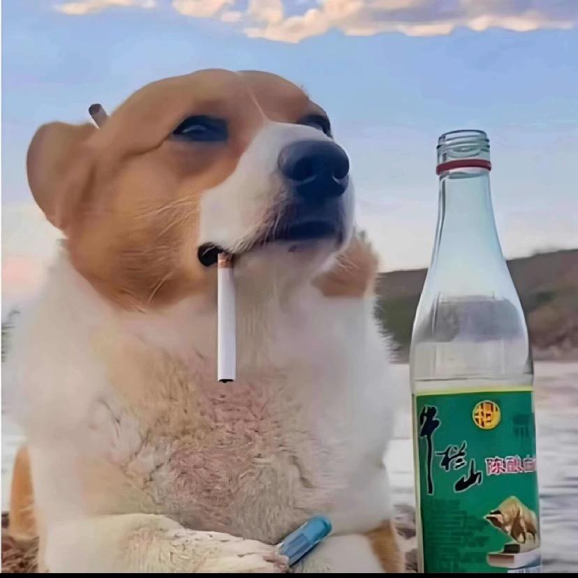 皮皮周