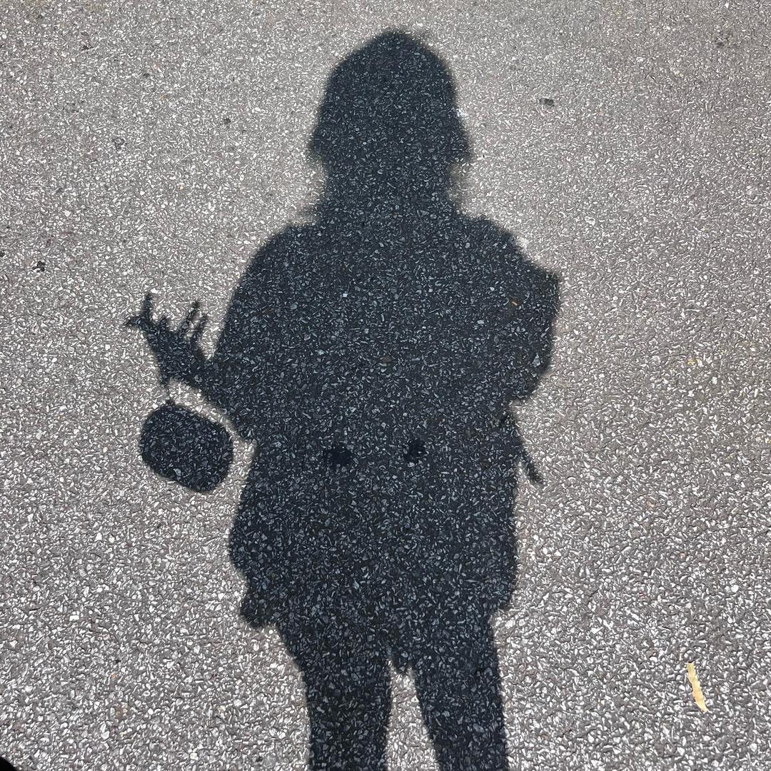 仙人掌的肾小管