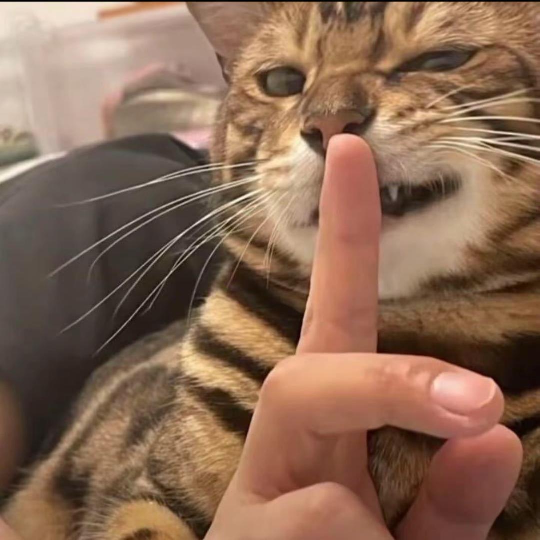 见面（国服韩信）