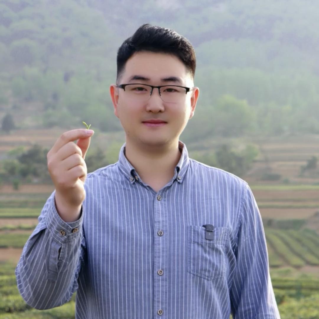 日照绿茶姜公绿