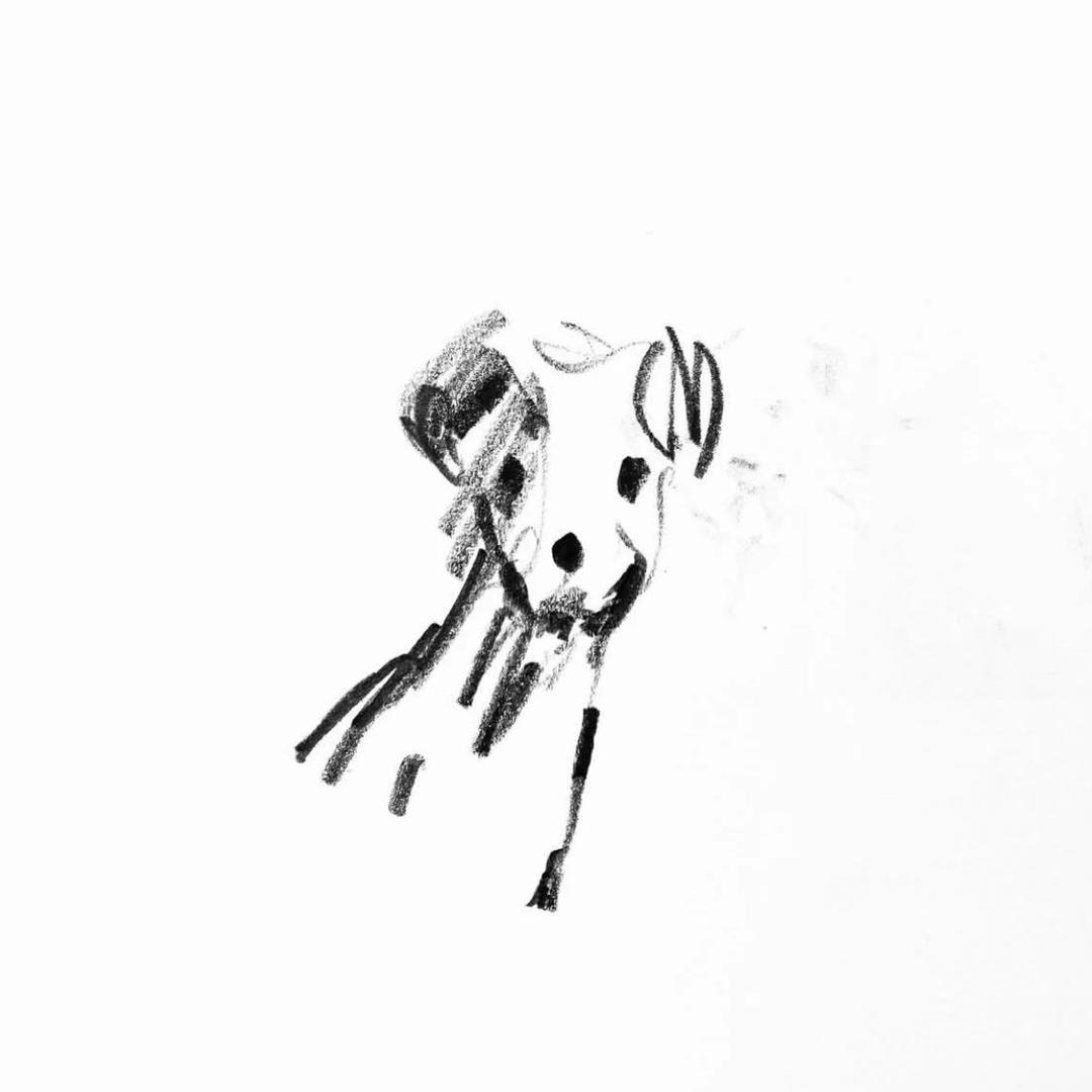 爱吃南瓜