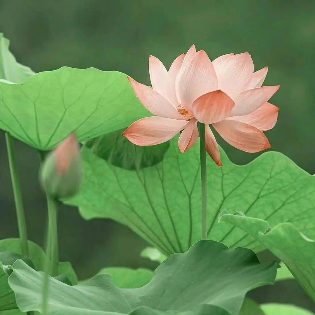 徐州欧派卫浴｜橱柜衣柜全屋定制