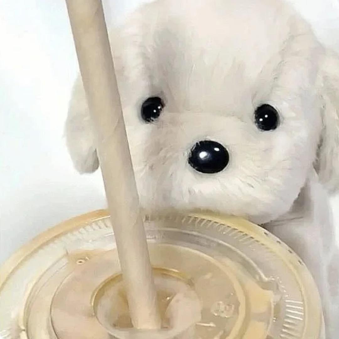 小孟