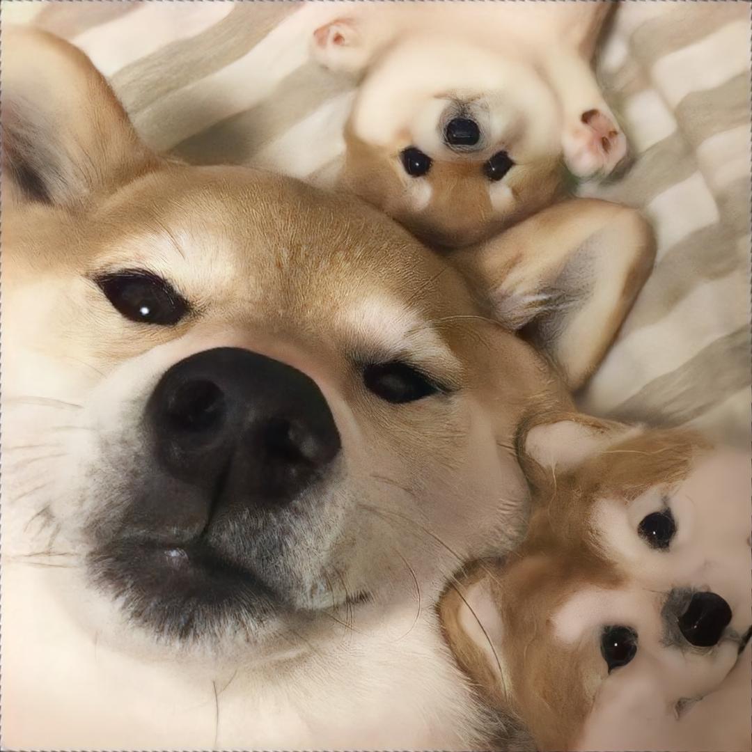 最后一颗布洛芬留给我