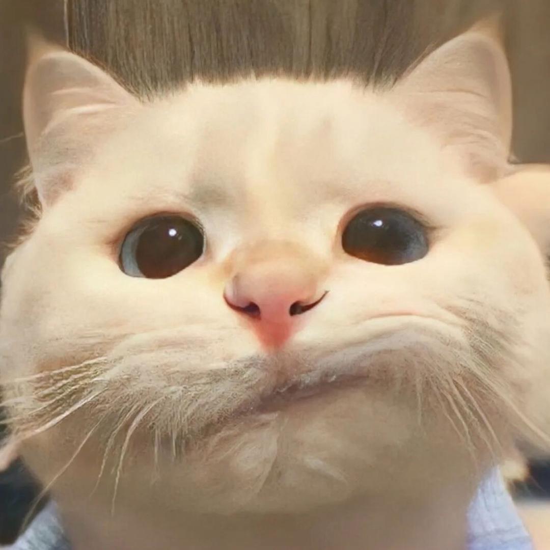虾仁不加盐