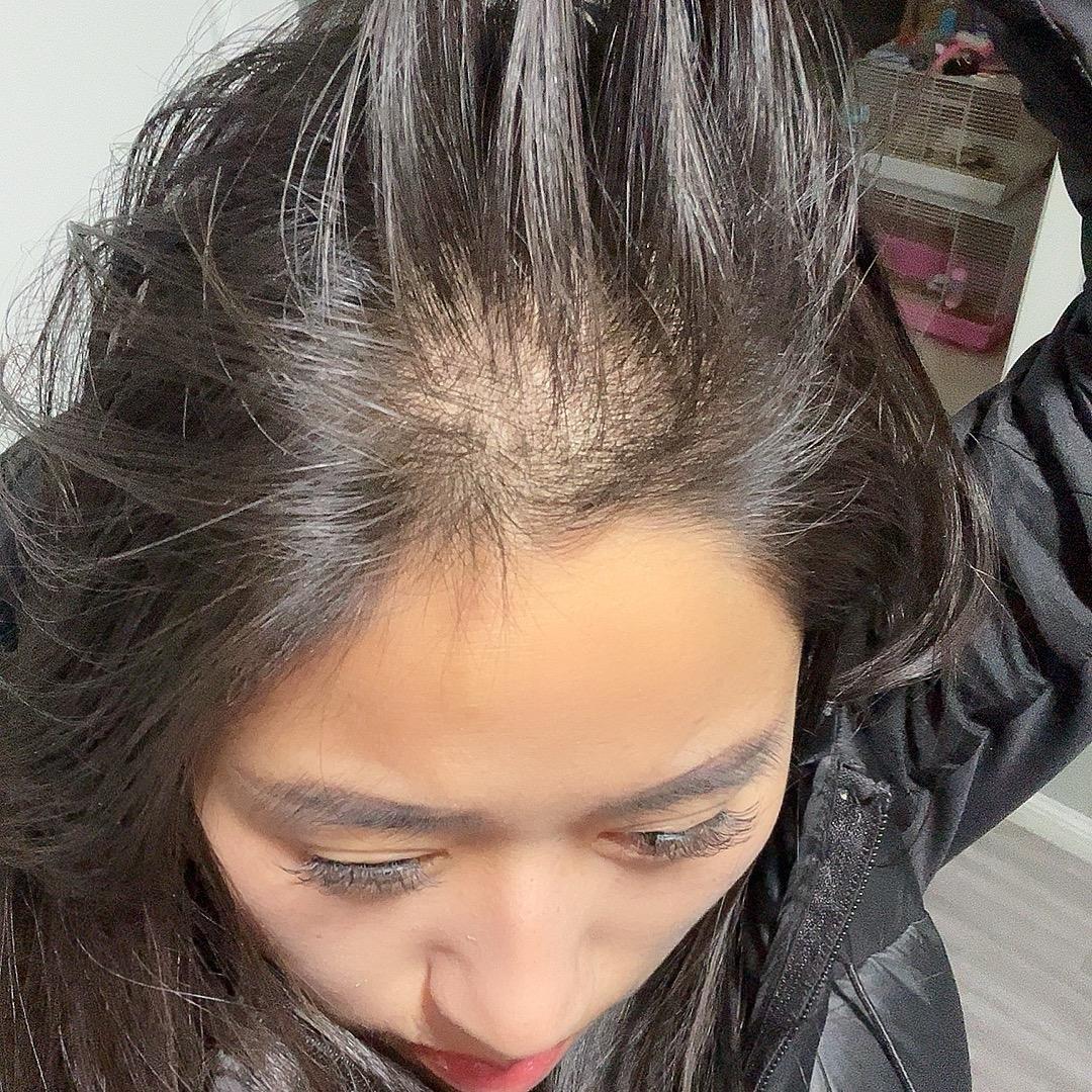 吉娃娃.