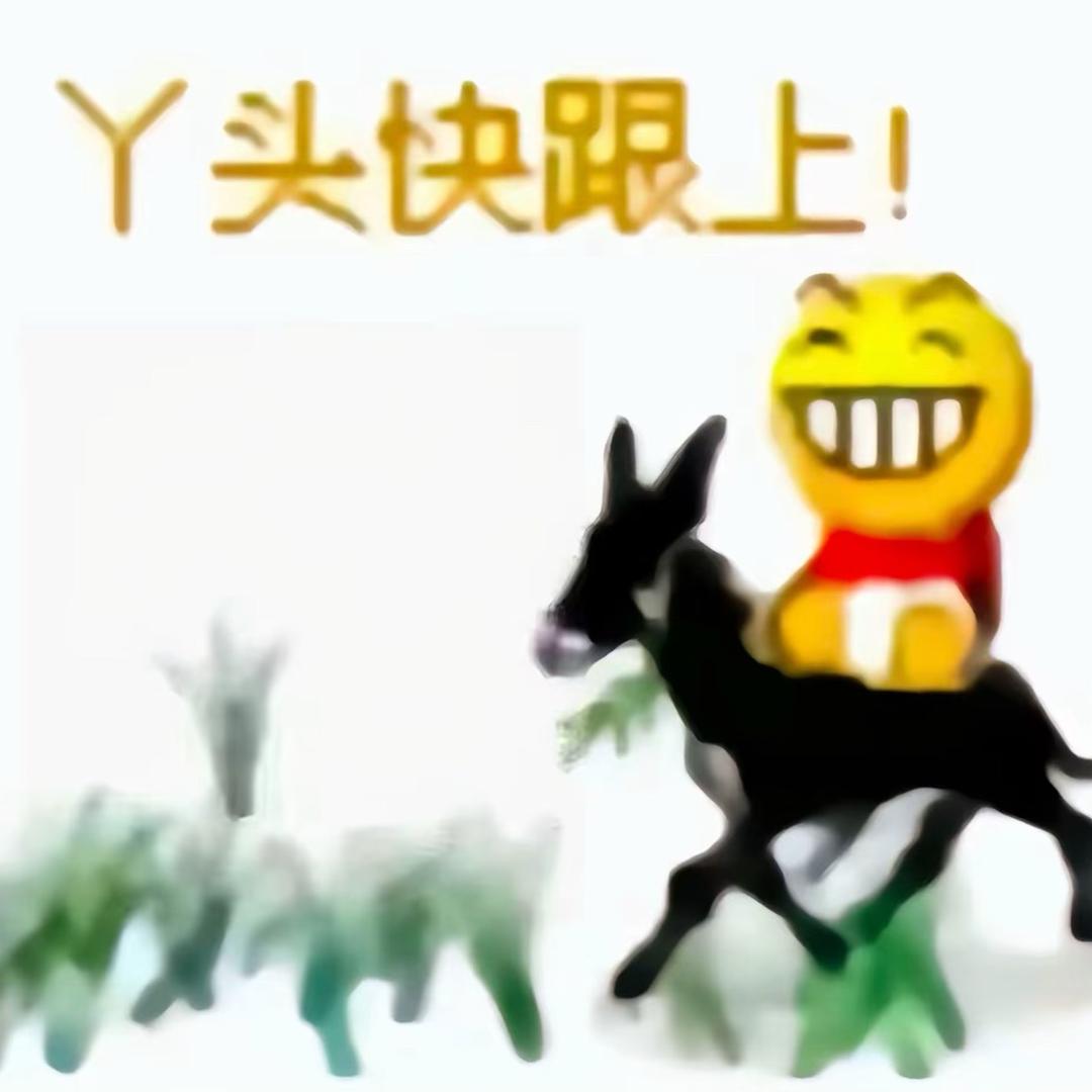 月月大王
