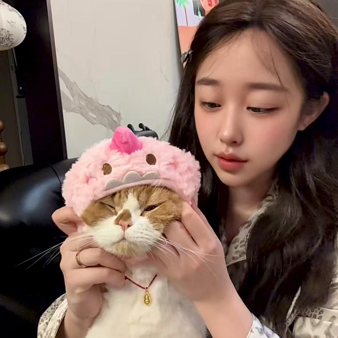 壮哥的猫狗日记