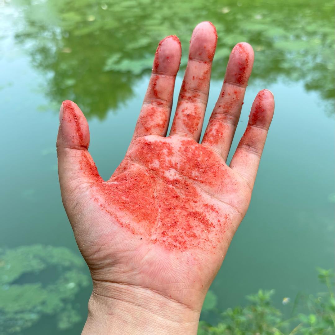 刚入坑的钓鱼佬