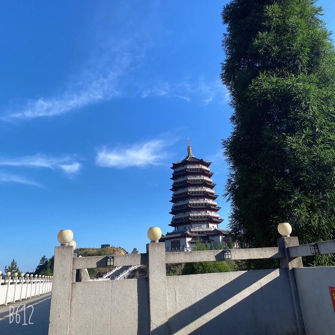 （违停）🍀炜婷