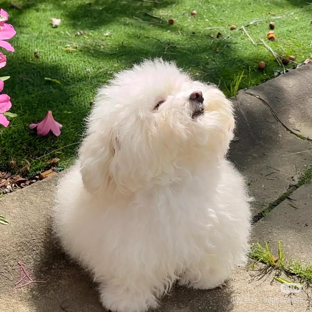 今天很ooook