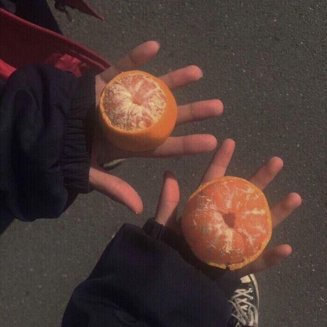 一只BoBo✨