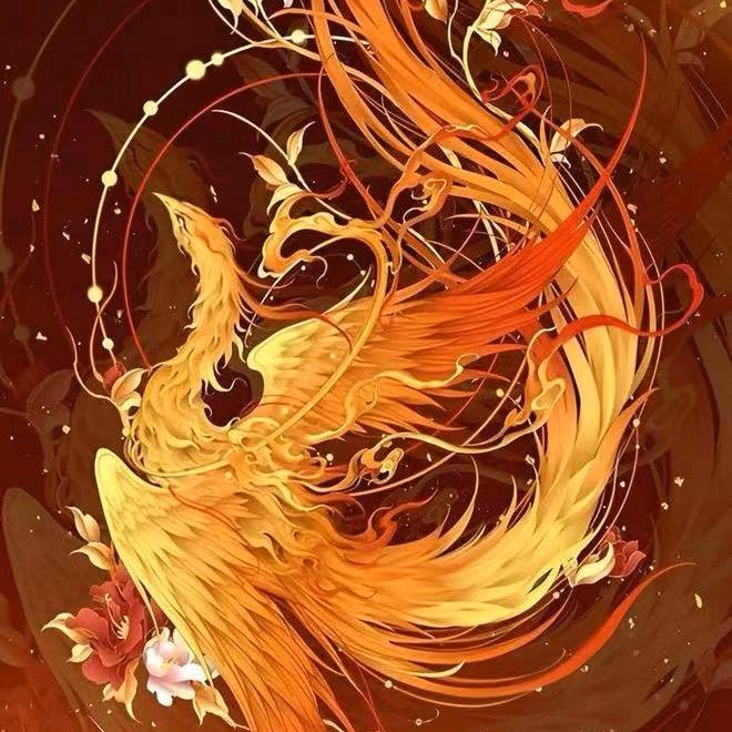 王路翔⭐️