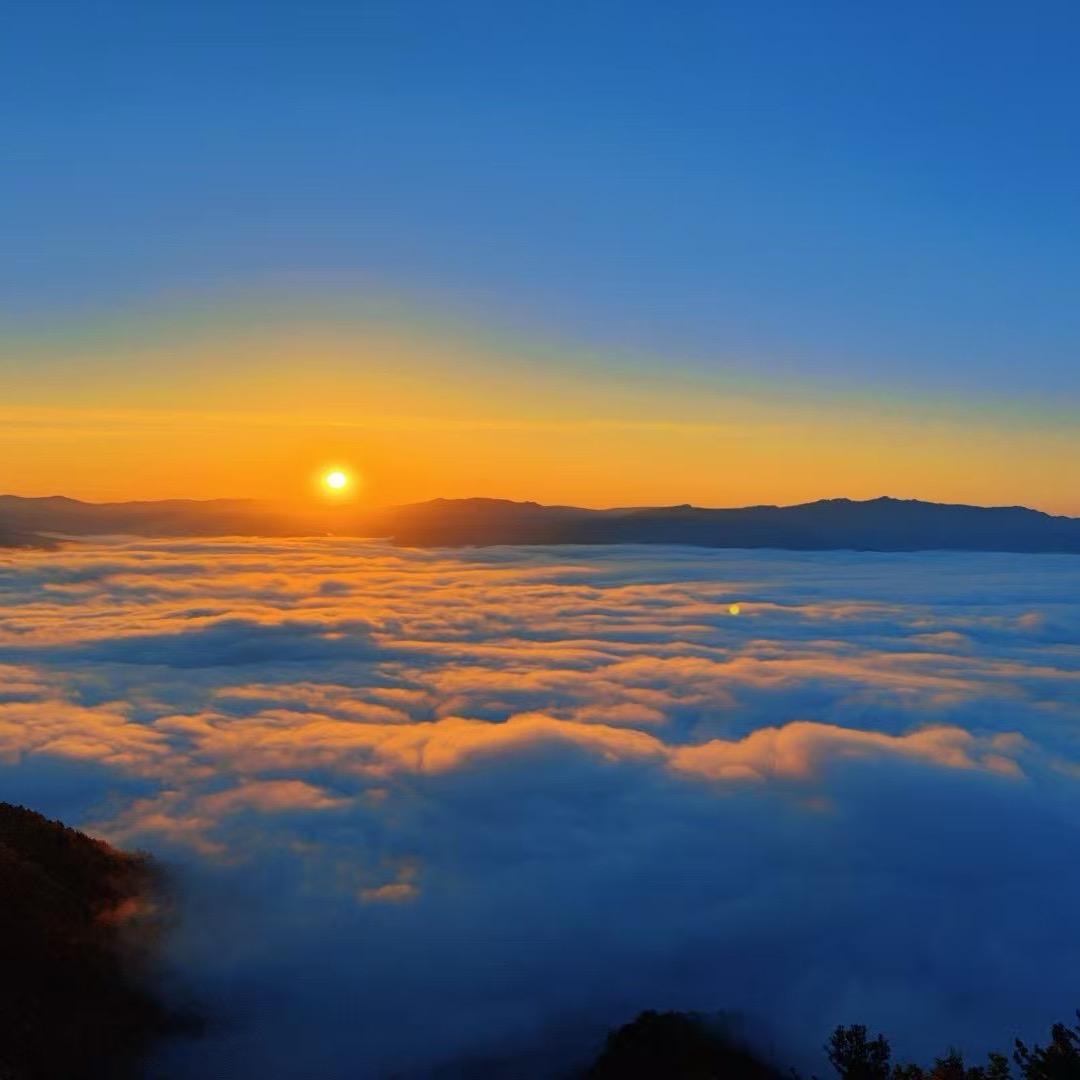 智诚