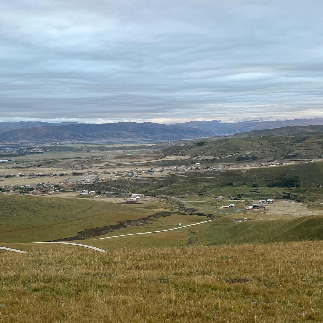 杨大师（指引你戒烟中）