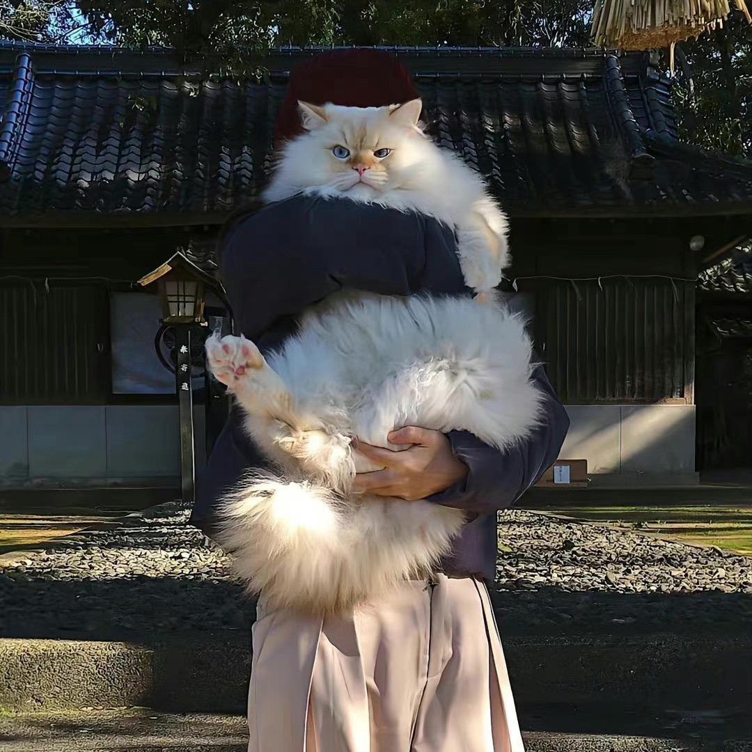 小老头