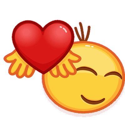 ✨乐在“琪”中