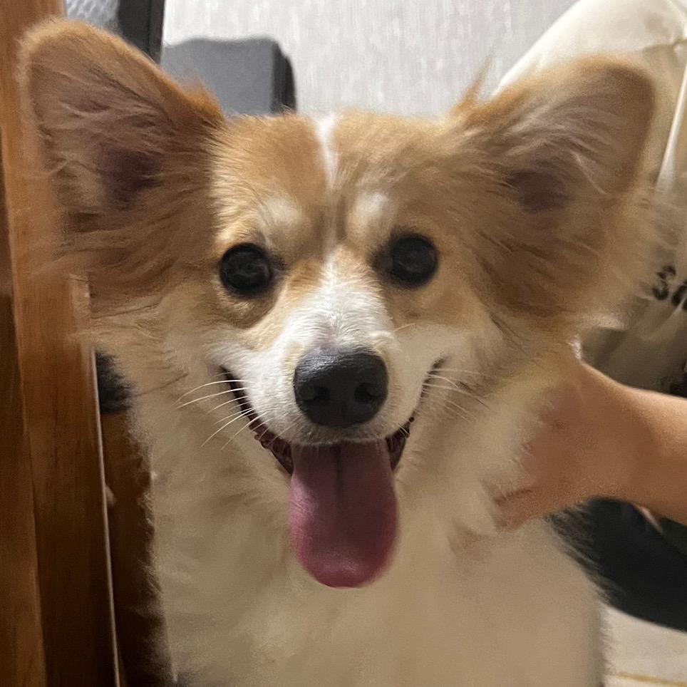 爱财爱己