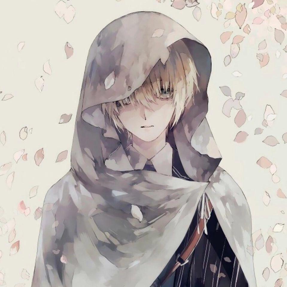 手机用户72187194197✨