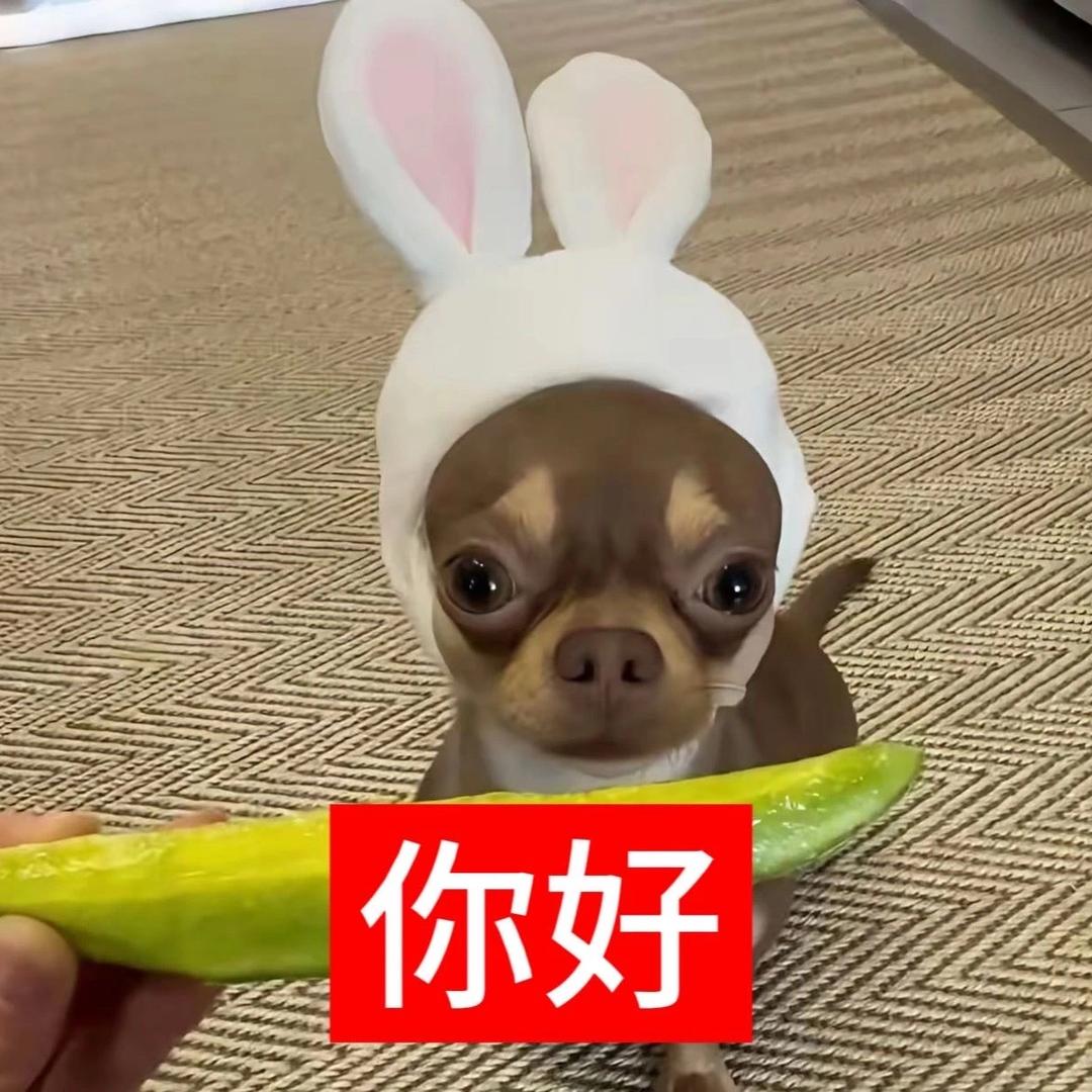 别揍兔（日常乱更新版）