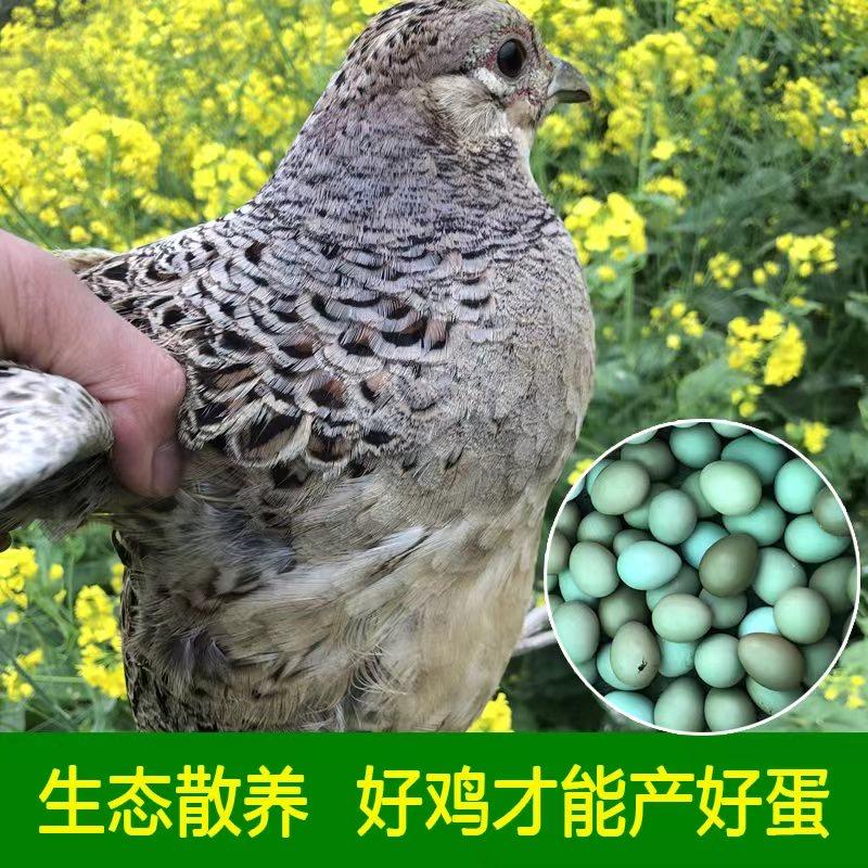 贵州鲜味缘食铺