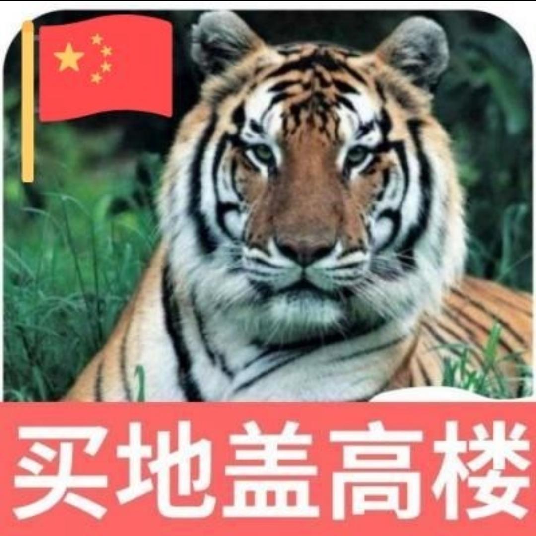 大掌柜