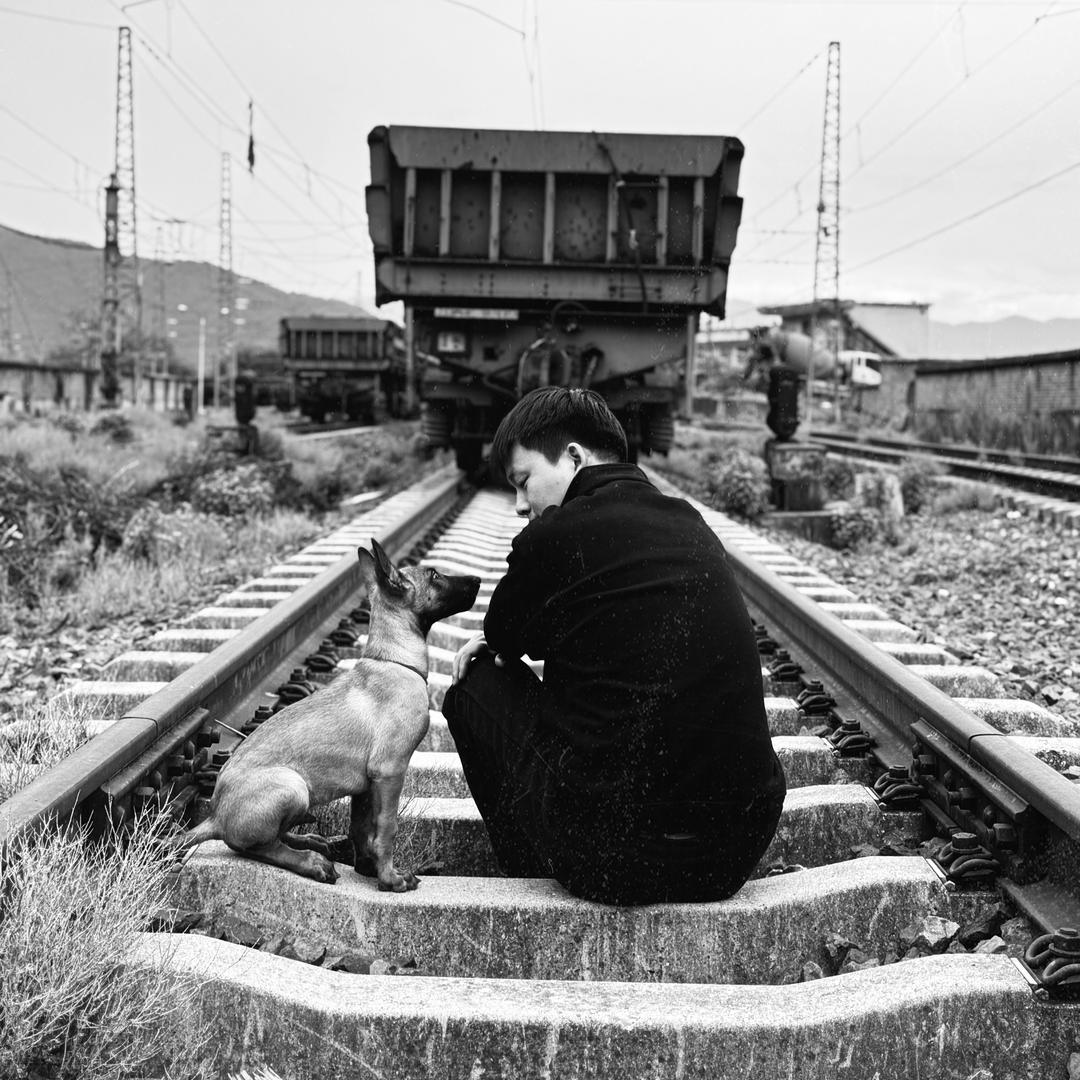 来财貔貅🐕‍🦺