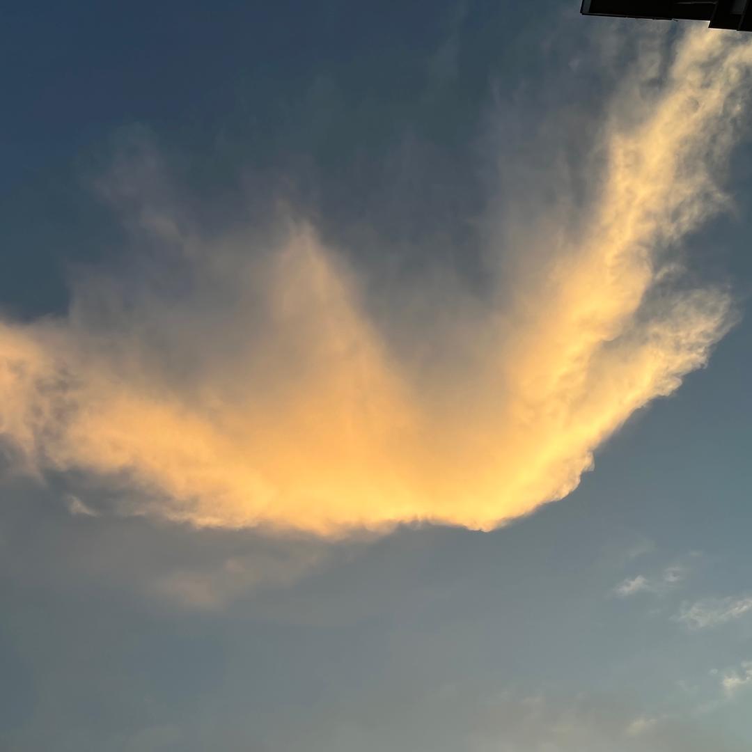 饱的睡到自然醒