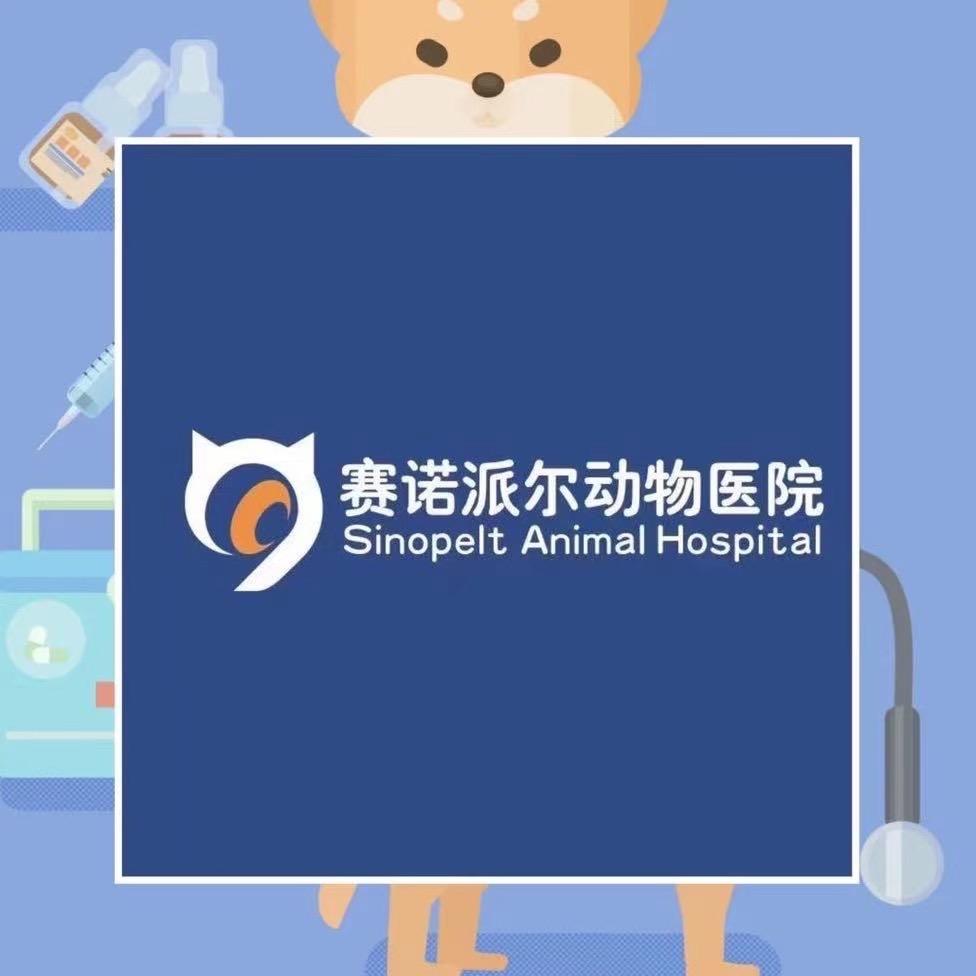 赛诺派尔动物医院小医生👨🏻⚕️