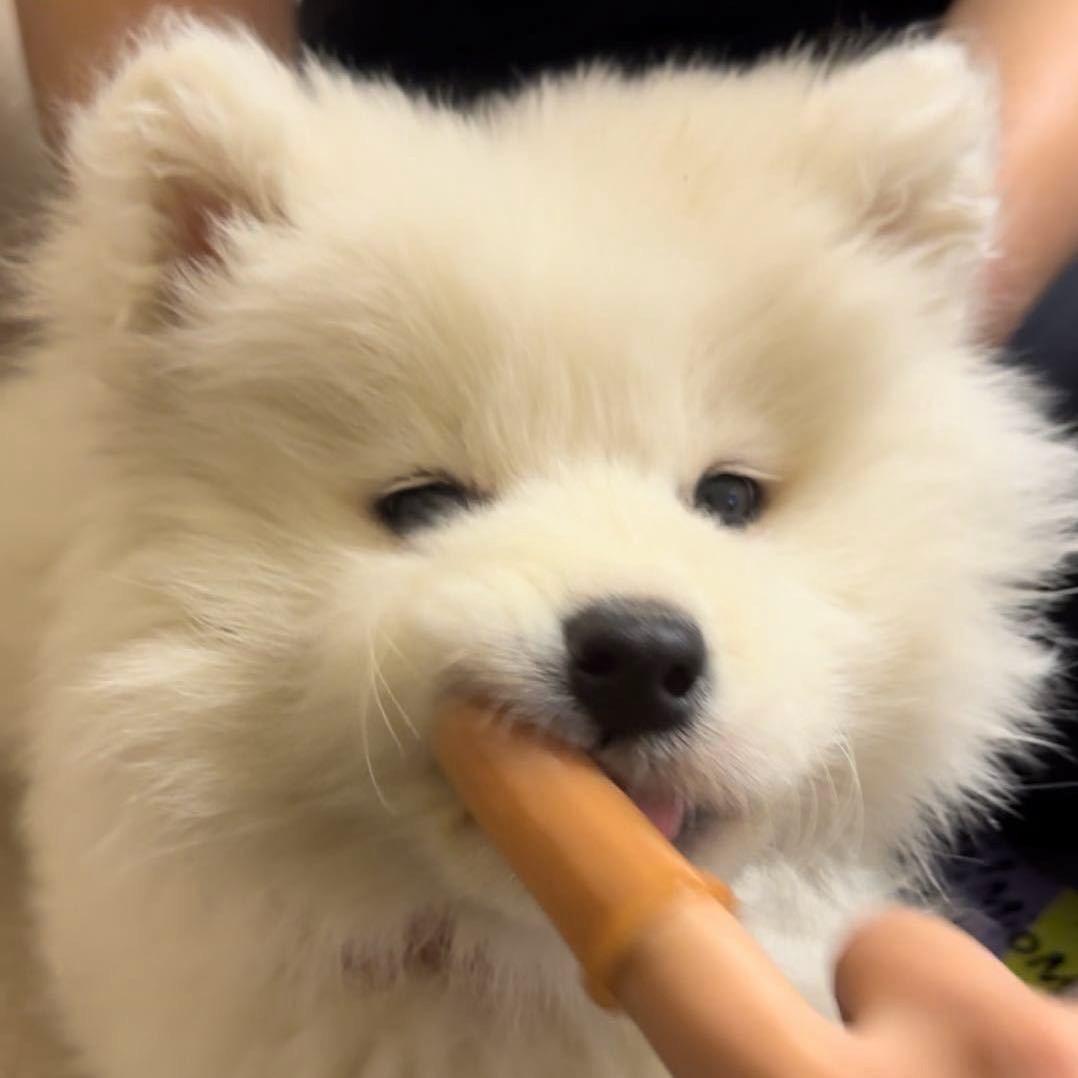 -赞赞