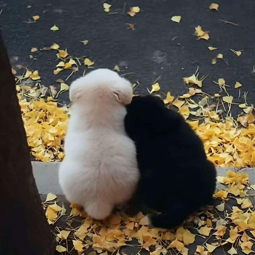 树心城鹿角兽