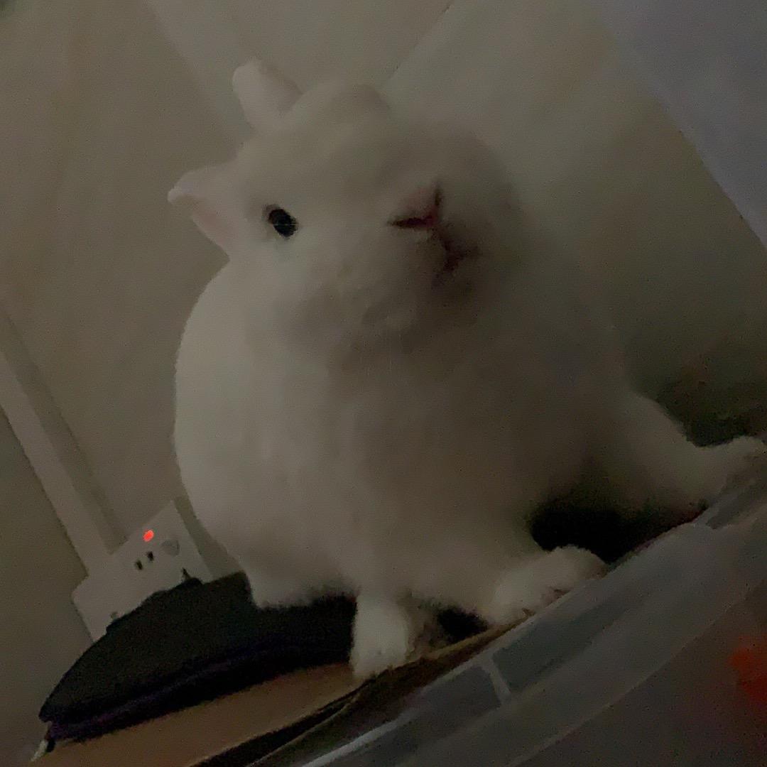 我是纳纳