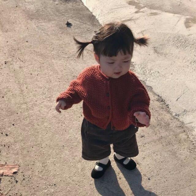 鹤纷飞