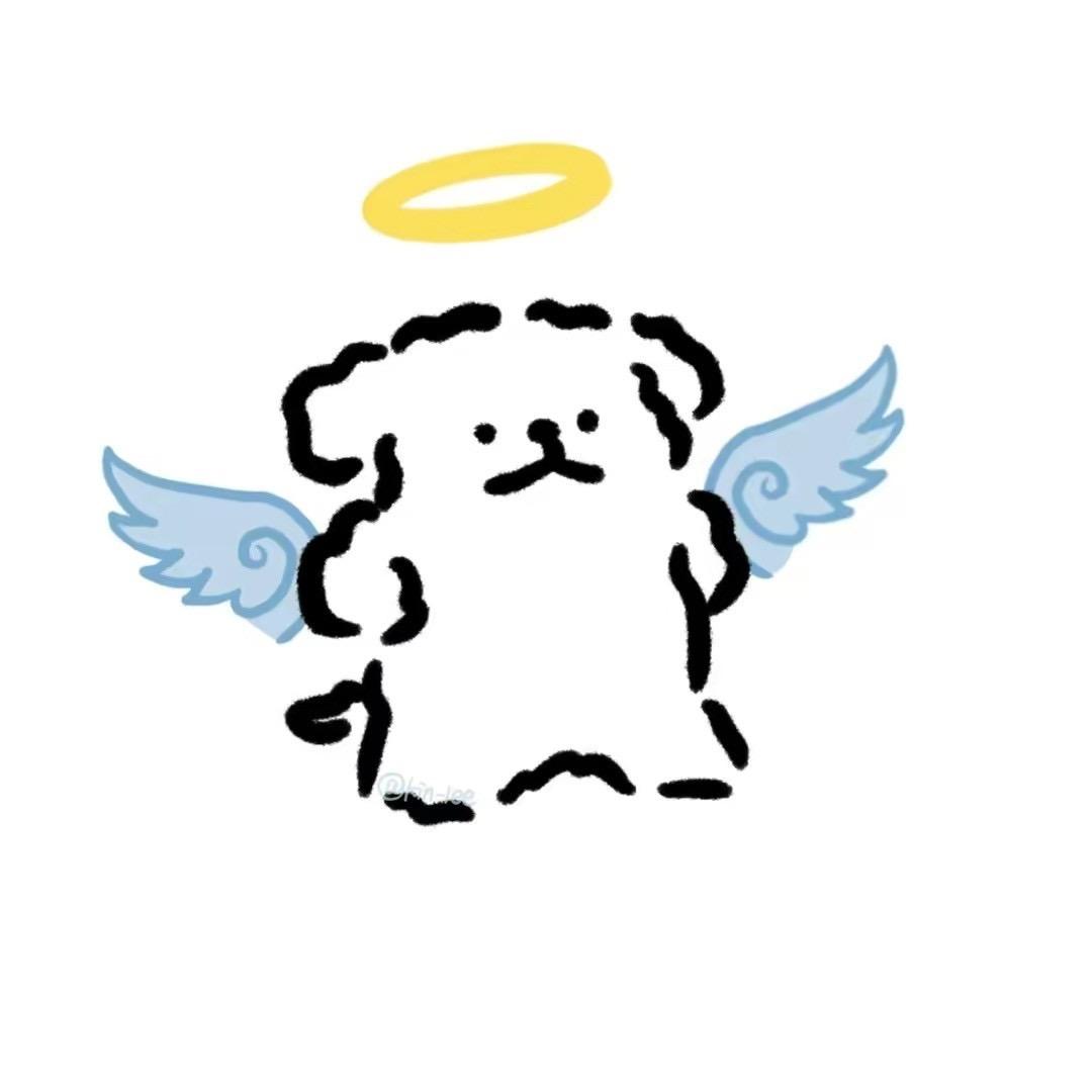 请用心听不要说话