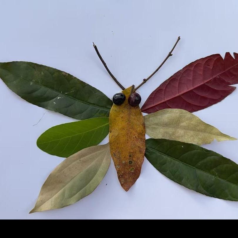 菜菜日常好物分享